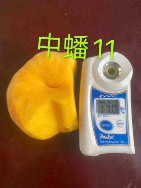 蒙陰篇 巾幗好產(chǎn)品，等您來團(tuán)購——聚焦散裝及預(yù)包裝食品的優(yōu)質(zhì)銷售