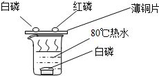 化學(xué)常識辨析 食品保鮮、分子運動與氣體安全